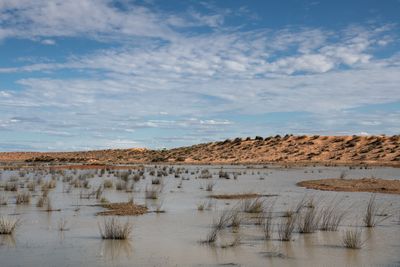_DSC7548.jpg