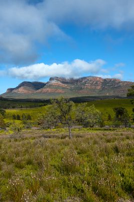 Rawsnley Bluff