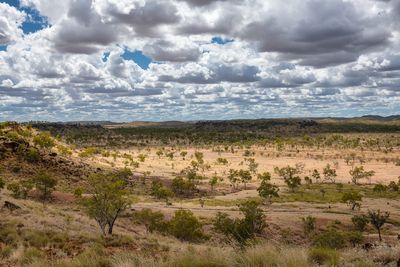 _DSC7338.jpg