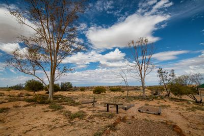 Birdsville Cemetry 2.jpg