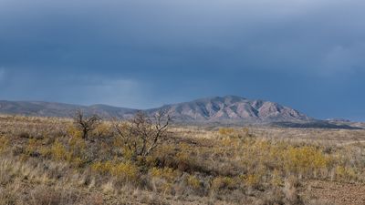 _DSC7852.jpg