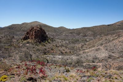 _DSC7904.jpg