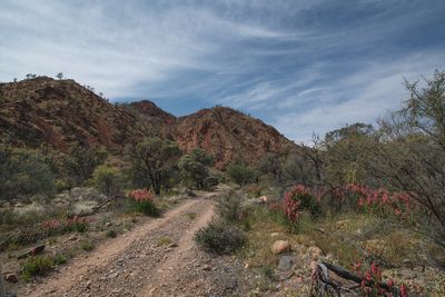 _DSC7950.jpg