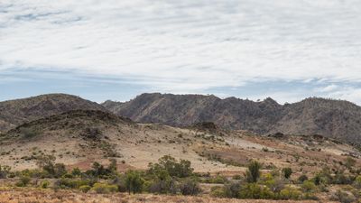 _DSC7996.jpg