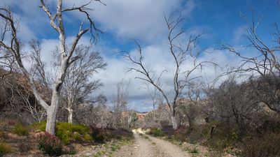 _DSC8034.jpg