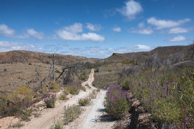 _DSC8060.jpg