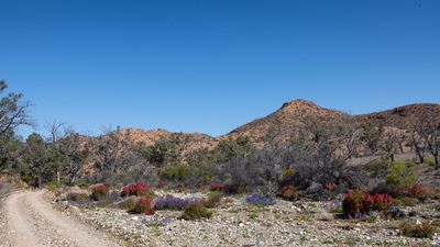 _DSC8143.jpg