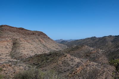 _DSC8181.jpg