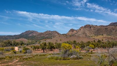 _DSC8385.jpg