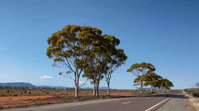 Out of Hawker