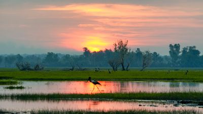Corroboree Billabong Wetland