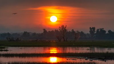 Corroboree Billabong Wetland