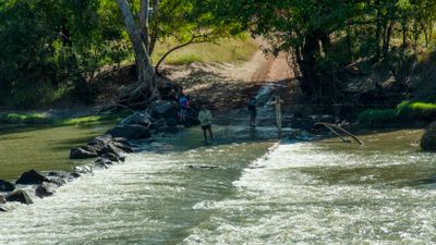 Cahills Crossing