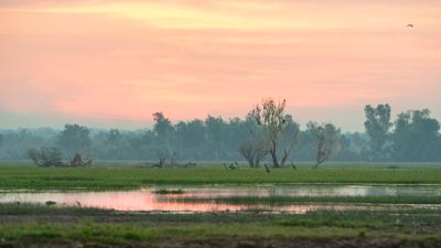 Corroboree Billabong Wetland