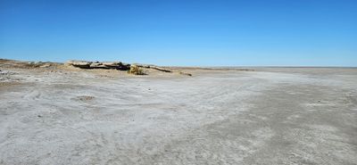 20240729_151332.jpg