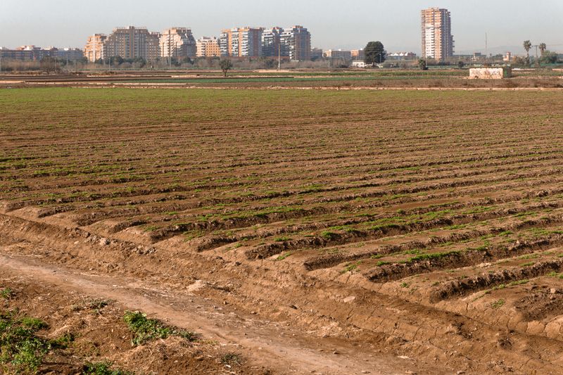 Horta de Campanar (entre Valncia i Mislata)