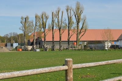 Rijnsburg