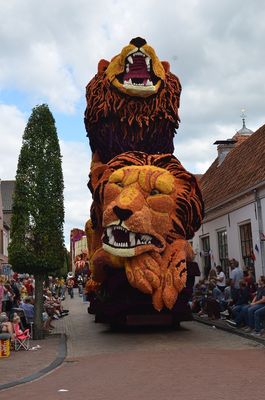 Corso van Vollenhove 2022