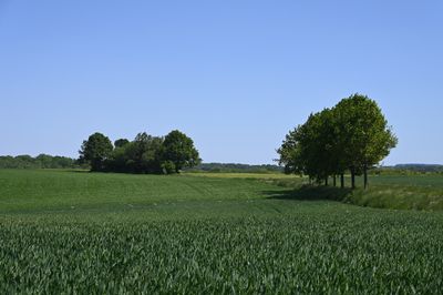 omgeving Nijswiller