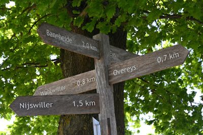 omgeving Wahlwiller