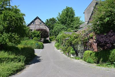 Wahlwiller