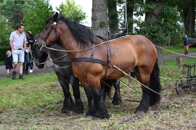 Drenthe