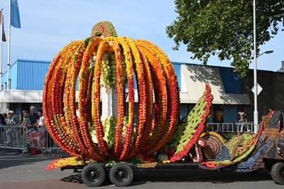 Fruitcorso Tiel