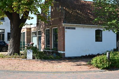 Friesland 2