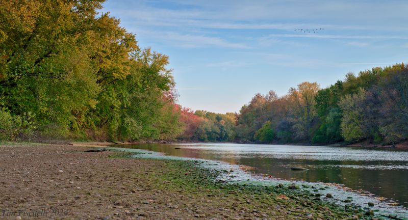 Fall on the White River
