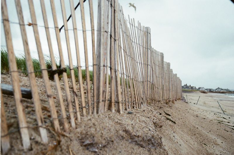 Beach at Sandwich
