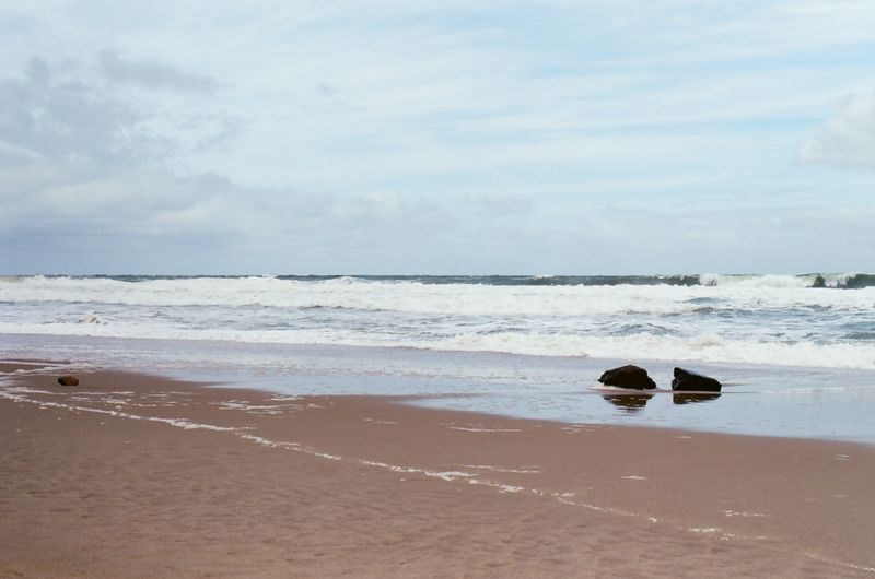 Cape Cod National Seashore 