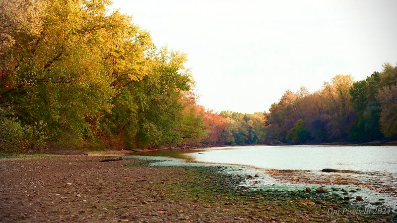 Fall on the White River