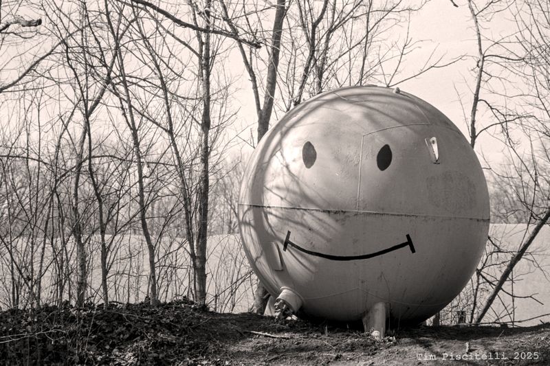Happiness in Waverly