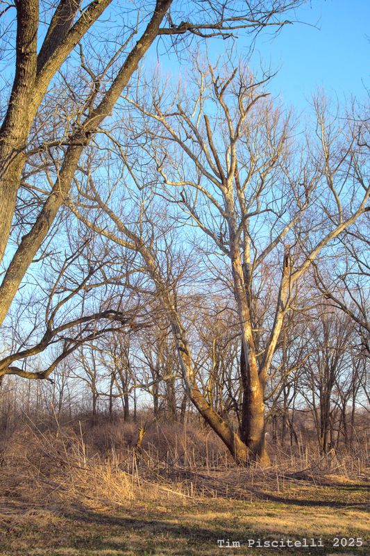 White River Greenway