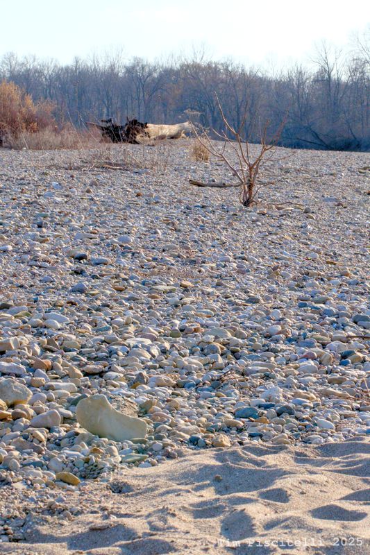 White River Beach