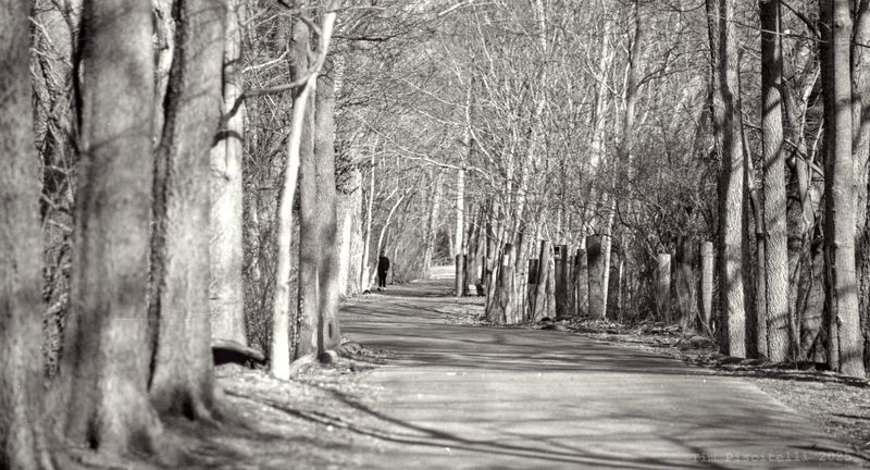 White River Greenway Trail