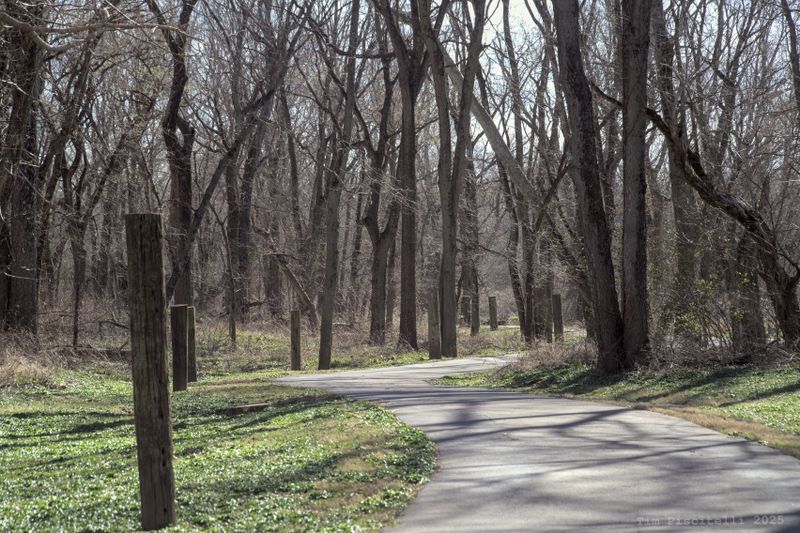 Trail in Sunlight