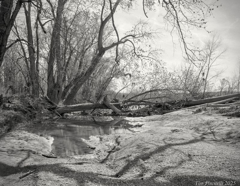 Flooding Aftermath