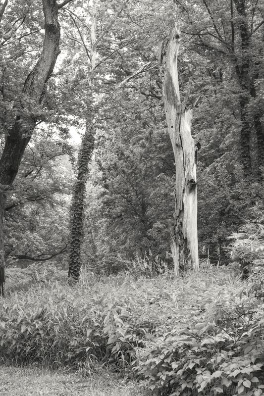 Photos from the K3 Monochrome