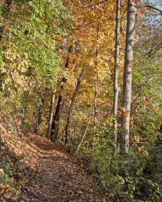 White River Trail.jpg