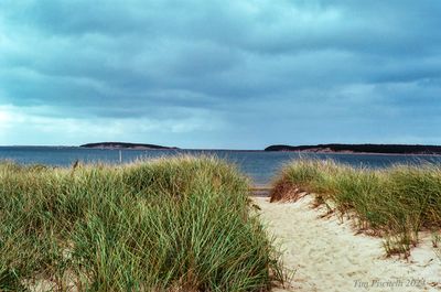 Cape Cod 2024