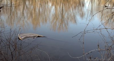 g13/28/8025028/3/175304808.8f4b04c7.JPEG