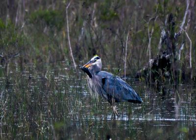 DSC_1040.jpg