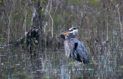 DSC_1031.jpg