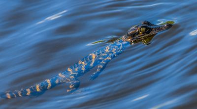 DSC_6112.jpg