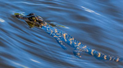 DSC_6112.jpg