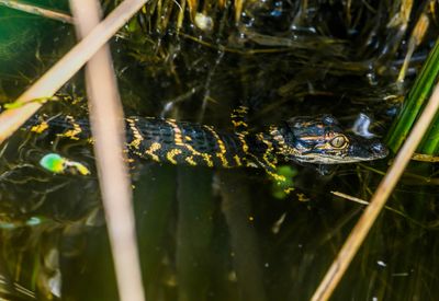 DSC_6180.jpg