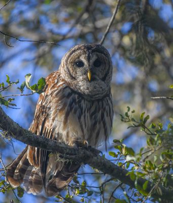 DSC_9369.jpg