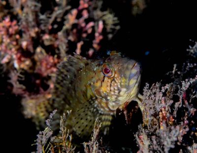 DSC_8941.jpg