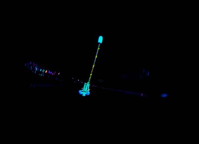 DSC_2150.jpg